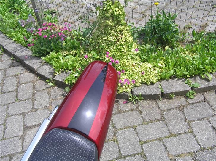 Suzuki Street Magic **Solgt** -  Nyt! billede 14