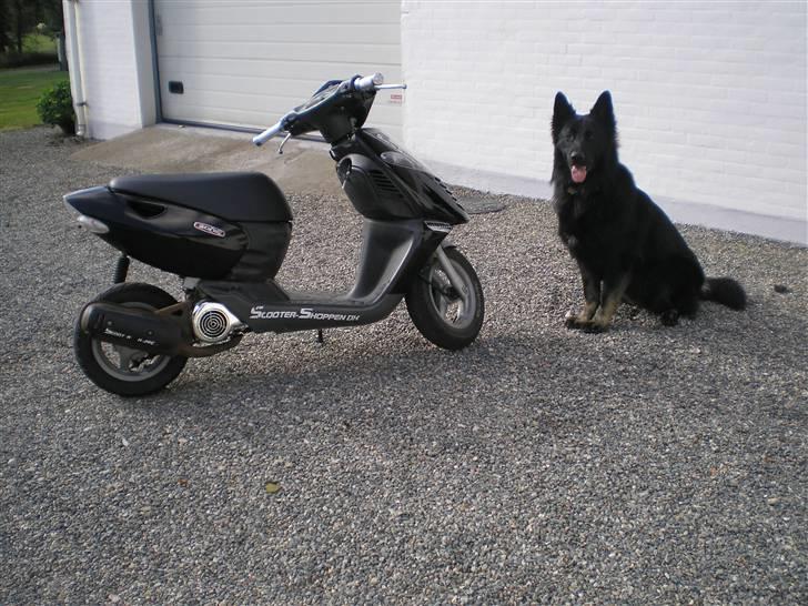 Aprilia Sonic •Blue Ice• Solgt - Før  billede 10