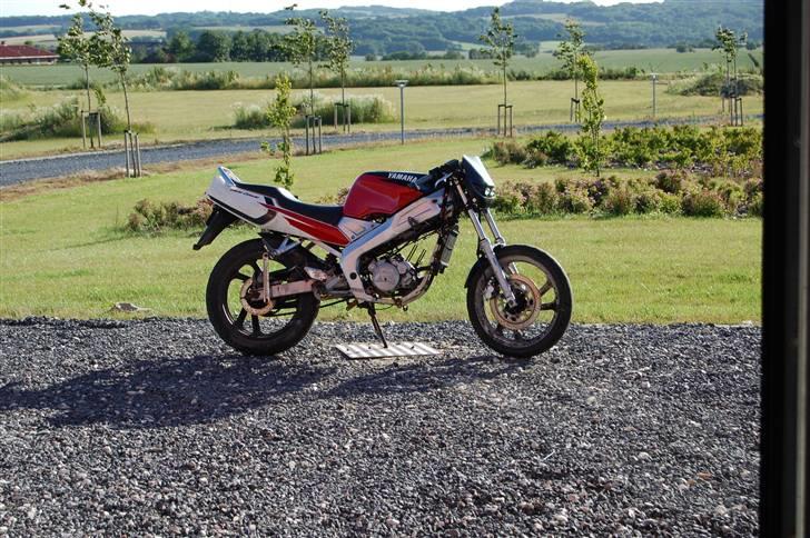 Yamaha TZR 50 - byttet billede 7