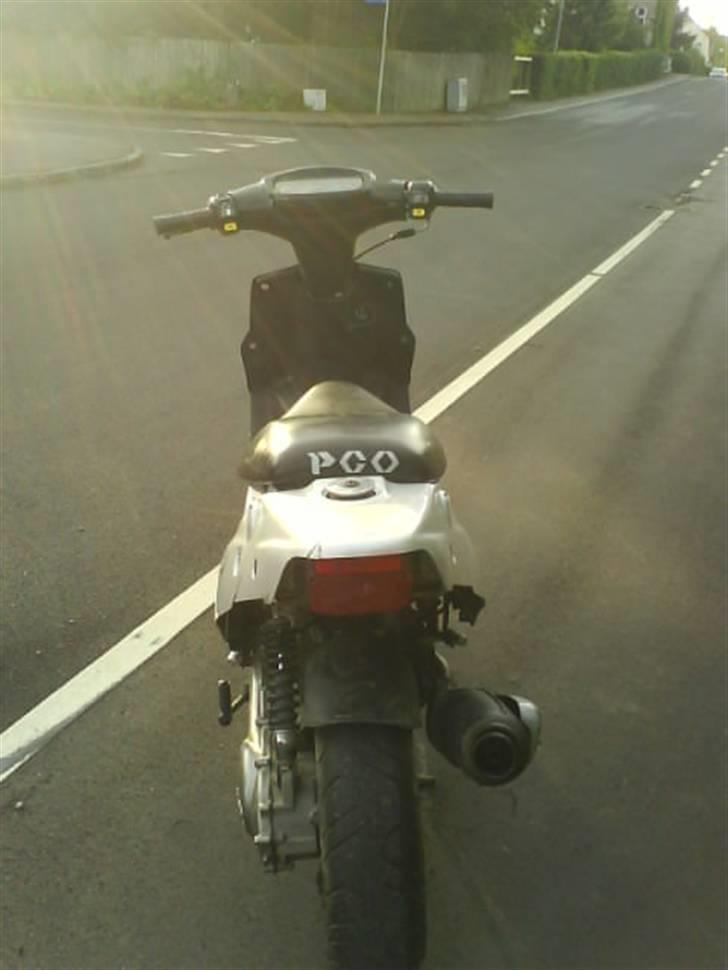 PGO Tornado (Byttet til jog!) billede 5