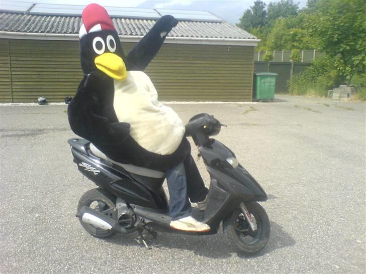 Honda sfx billede 2