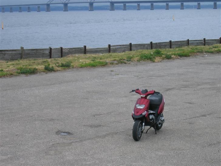 Gilera Stalker # Kørt Ned # billede 6