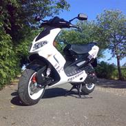 Peugeot speedfight 2Rcup 