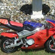 MiniBike Pocketbike SOLGT