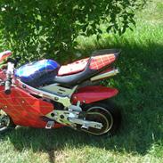 MiniBike Pocketbike SOLGT
