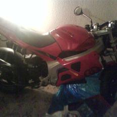 Gilera dna