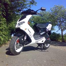 Peugeot speedfight 2Rcup 