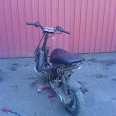 PGO dr big - bare sjov