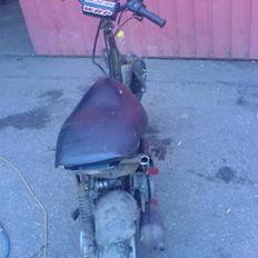 PGO dr big - bare sjov