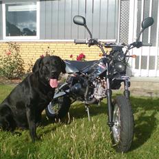 MiniBike Thumpstar Road Ripper 