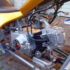 MiniBike Chopper  SOLGT