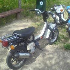 Suzuki fz50 byttet