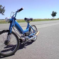 Puch "TH3 BLU3 BL00UM"•Nu•