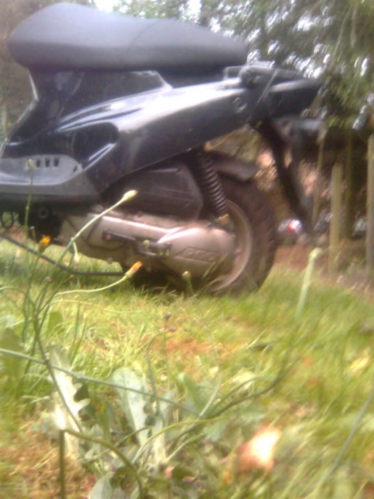 PGO Hot 50 Hverdagsmaskinen billede 5