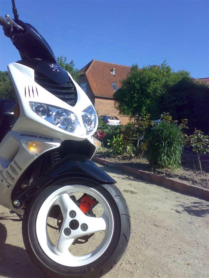 Peugeot speedfight 2Rcup  billede 1