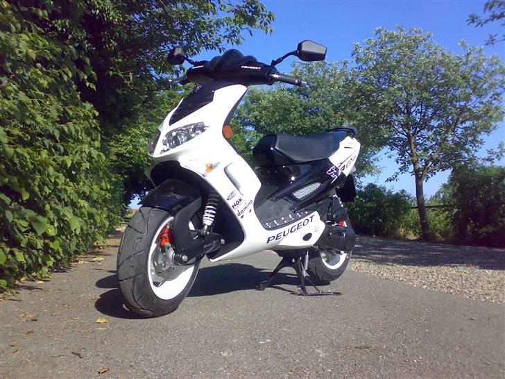 Peugeot speedfight 2Rcup  billede 2