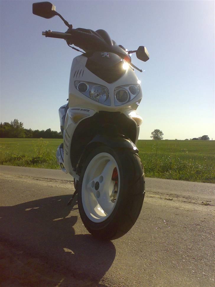 Peugeot speedfight 2Rcup  billede 8