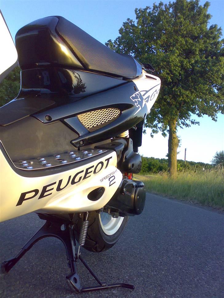 Peugeot speedfight 2Rcup  billede 11