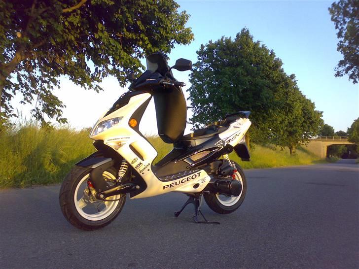 Peugeot speedfight 2Rcup  billede 12