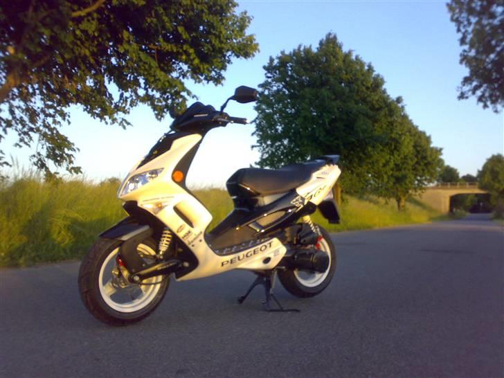 Peugeot speedfight 2Rcup  billede 13