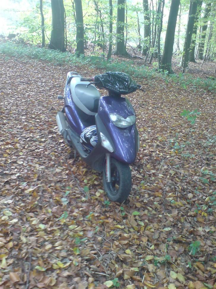 Honda sfx ac billede 13