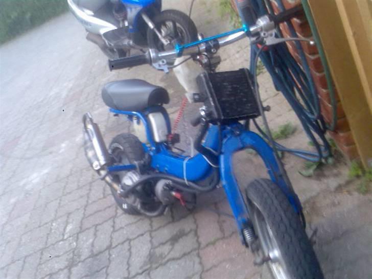 Suzuki fz/sonic     (solgt) billede 1