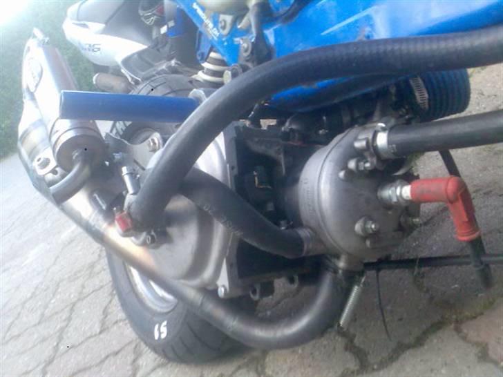 Suzuki fz/sonic     (solgt) billede 6