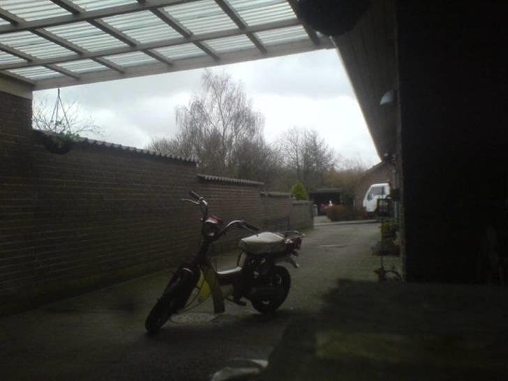 Suzuki FZ50 - FZ 50 billede 2