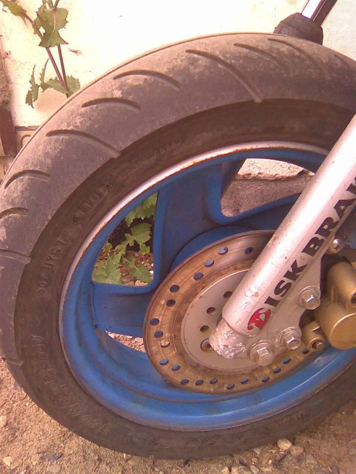 PGO /cpi byttet billede 16