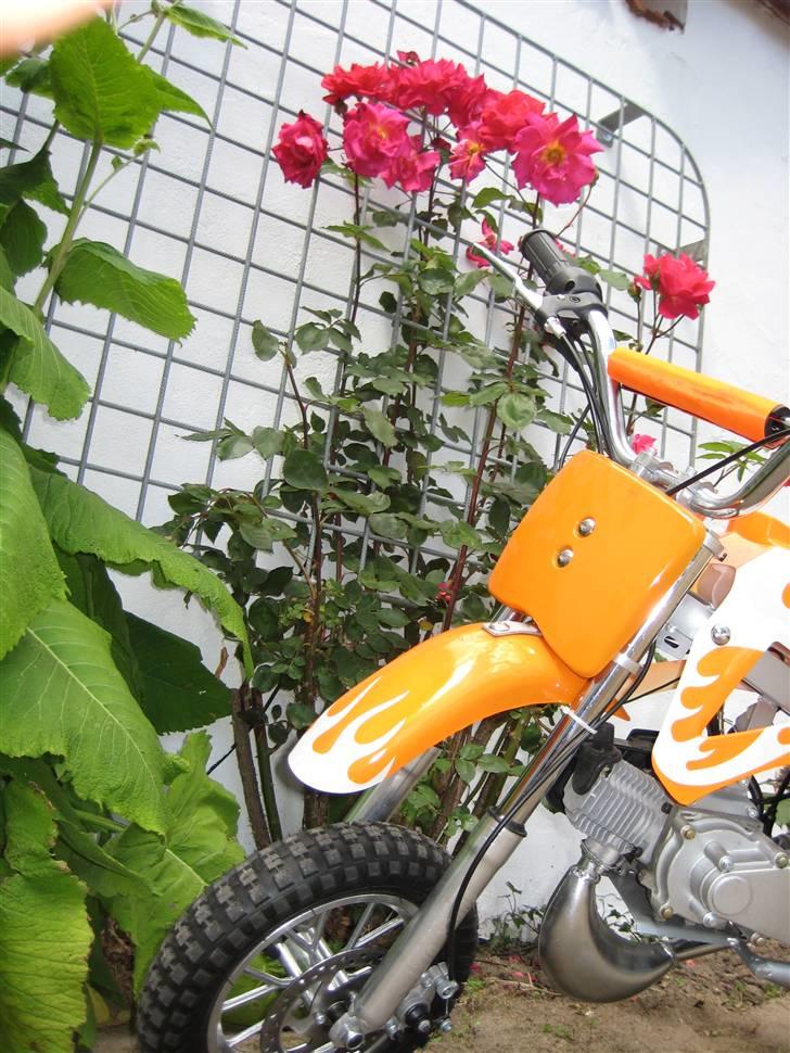 MiniBike pocket crosser (SOLGT) billede 4