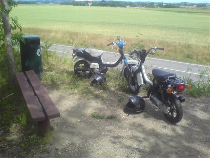 Suzuki fz50 byttet billede 8