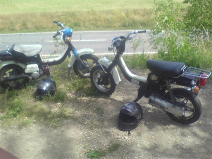 Suzuki fz50 byttet billede 9