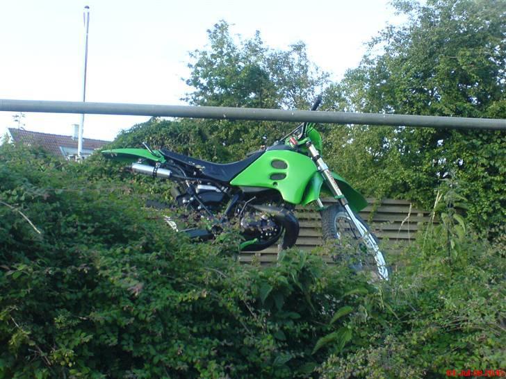 Suzuki RMX (STJÅLET) billede 6