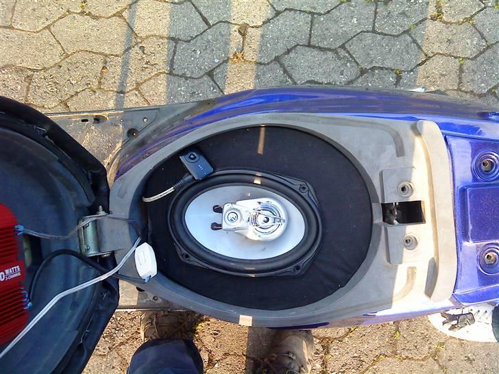 PGO hot 50 Projekt billede 5