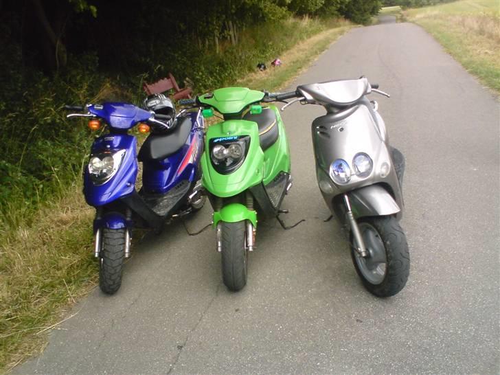 PGO Hot 50 // Solgt - var lige på besøg hos nogle venner (; billede 15