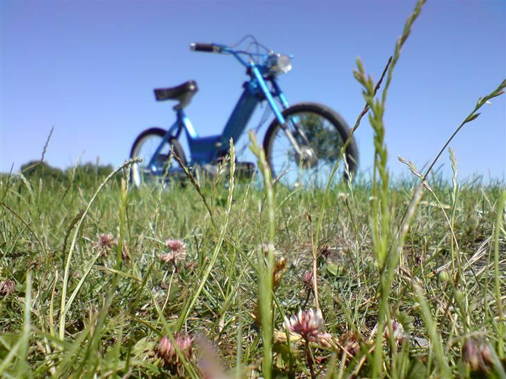 Puch "TH3 BLU3 BL00UM"•Nu• billede 4