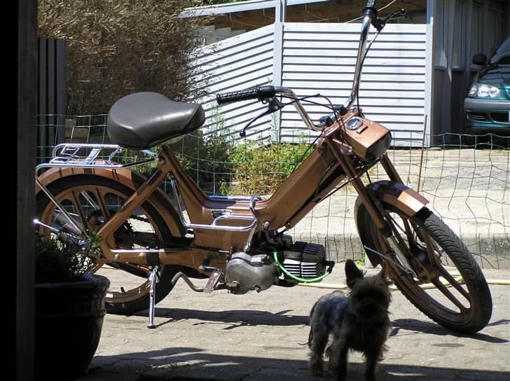 Puch Maxi K billede 8