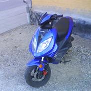 Giantco Stealth         TIL SALG!