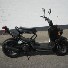 Honda Zoomer / Ruckus