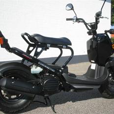 Honda Zoomer / Ruckus