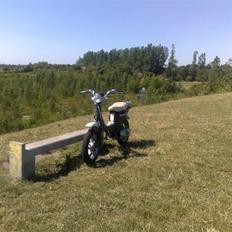 Suzuki FZ50 **solgt**