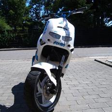 Aprilia Rally/aerox (LC) Projekt