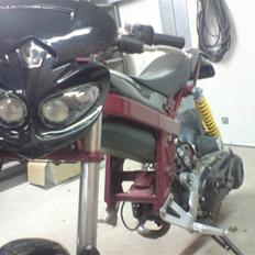 Suzuki Street magic