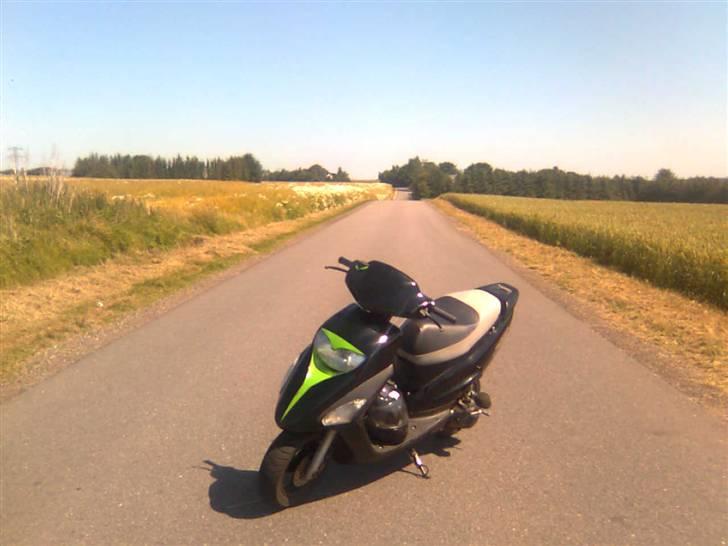 Honda sfx 2006 (Solgt) billede 3
