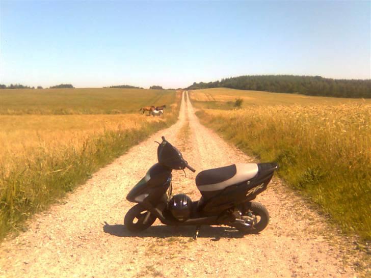 Honda sfx 2006 (Solgt) billede 5
