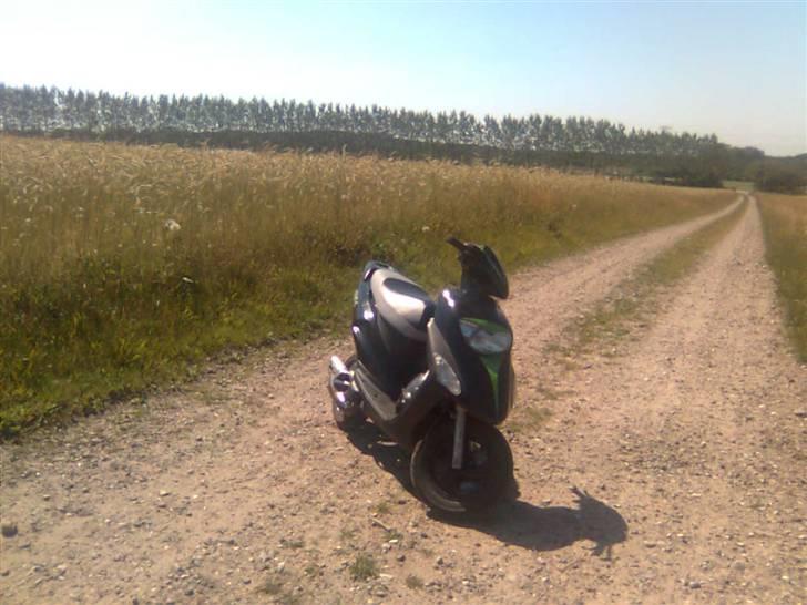 Honda sfx 2006 (Solgt) billede 6