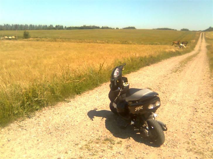 Honda sfx 2006 (Solgt) billede 7