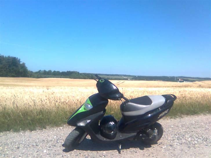 Honda sfx 2006 (Solgt) billede 8