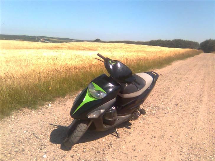 Honda sfx 2006 (Solgt) billede 9