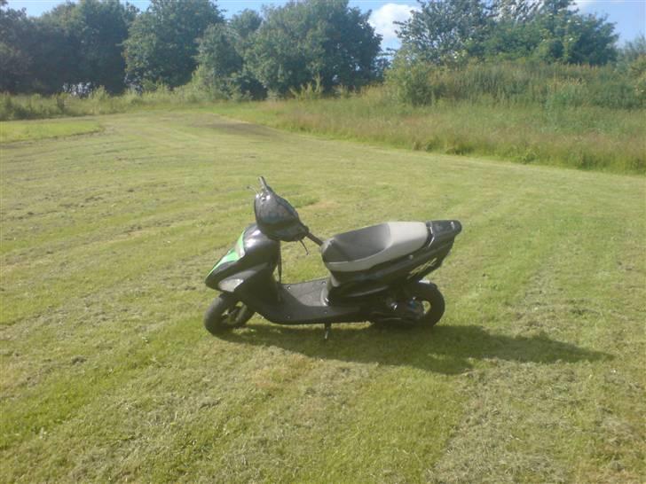 Honda sfx 2006 (Solgt) billede 14